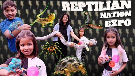 From Saturday June 19, 2021 - 1000 AM. . Reptile expo roseville